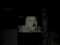 Download Lagu Salahkah kita - Robinhood feat Asmirandah
