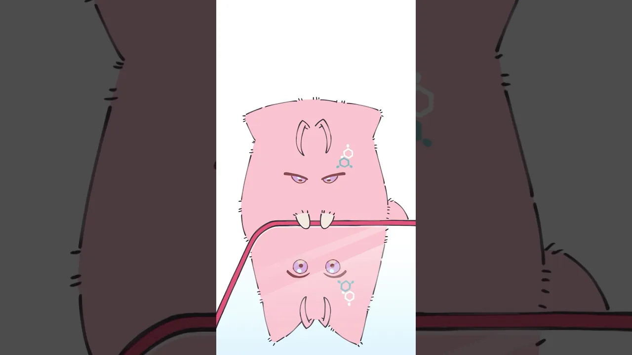 角度の問題 #もふこよ #shorts #anime #ホロライブ #hololive #博衣こより #アニメ #vtuber