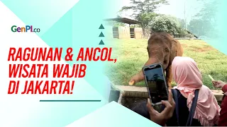 Dua Destinasi Favorit Saat Lebaran: Ancol dan Ragunan Tetap Juara!