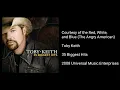 Lagu Toby Keith - Courtesy of the Red, White, and Blue (The Angry American)