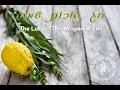 Download Lagu The Lulav - The Weapon of Life