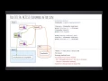 Introduction to Python 7 File Hindi