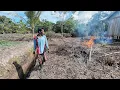 BAKAR SARANG HAMA \u0026 DUKUNG PRODUKTIFITAS, WANI RANTAU BERSIHKAN LAHAN TETANGGA TRANSMIGRASI LOKAL