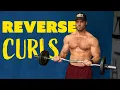 Reverse Curl Exercise Tutorial Fast Track Forearm Growth With One Exercise
