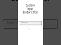 Create Custom Input Border with Html and Css Only