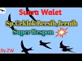 Download Lagu sp.ceklok jernih bersih,super respon.