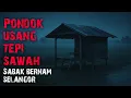 Download Lagu KERUSI BAWAH POKOK - PONDOK USANG TEPI SAWAH - KATIL BURUK - MALAM SEBELUM KRISMAS