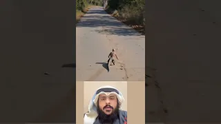 المشهد يبدو مرعبا  وواقعيا  لدرجة تجعل العقل يرفض تصديق أنه مجرد خدعة  اكسبلور         دندنها