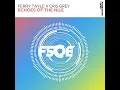 Echoes Of The Nile (Extended Mix) - Ferry Tayle & Cris Grey