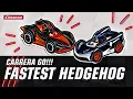 The world's fastest hedgehog on your home circuit 🦔 | @Carrera