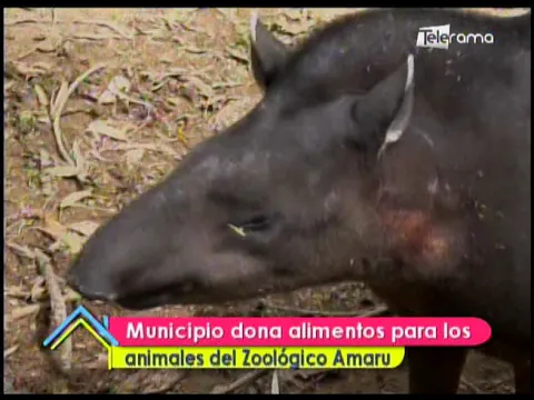 Municipio dona alimentos para los animales del Zoológico Amaru