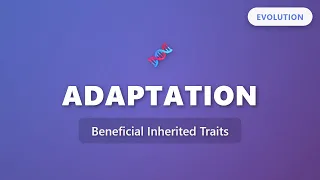 Adaptation How Organisms Survive with Beneficial Inherited Traits Evolution Series