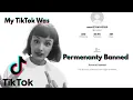 I Was Permanently Banned On TikTok