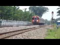 Kompilasi Kereta Api Pantura