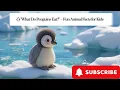 What Do Penguins Eat - Fun Animal Facts for Kids