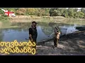 Download Lagu ალაზანზე თევზაობა, დღე და ღამე