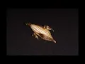 Vintage Avon American Harvest Corn Ear Brooch Pin New Years Present