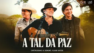 Chitãozinho & Xororó ft @oficialalmirsater | A Tal Da Paz (Videoclipe Oficial)