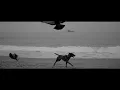 Perota chingo Canción Pequeña / viña del mar
