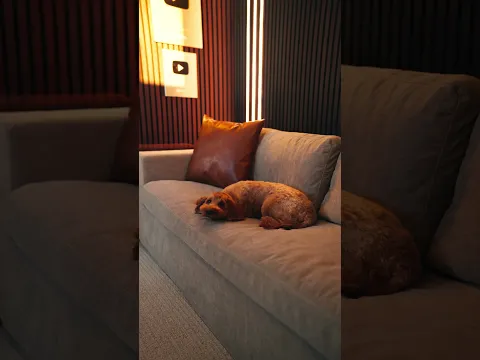 Do not disturb is on..🤫