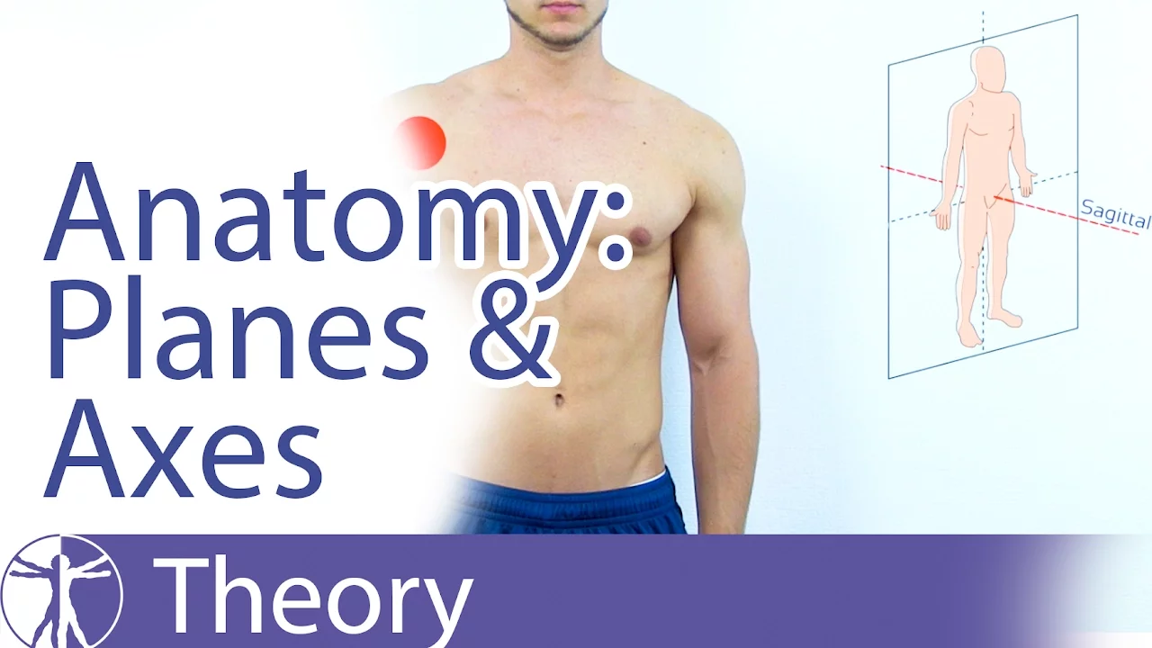 Anatomical Planes & Axes Explained