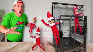 My Elves On A Shelf ESCAPED And DESTROYED My House!