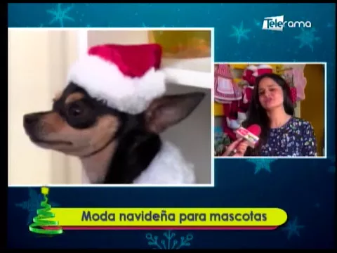 Moda navideña para mascotas