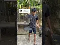 Download Lagu Ini racikan burung sogon dari eyang lepus #ebiwirawan