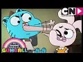 Gumball Gumball Gets Wrong-shamed The Best Cartoon Network