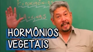 O que são Auxinas? - Extensivo Biologia | Descomplica