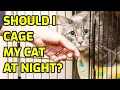 Is It Okay To Crate Your Cat At Night