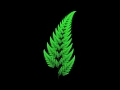 Barnsley Fern fractal animation with python with sourcecode