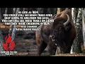 Uncovering Alabama s Ancient Bison Licks with Kyle Lybarger Carrying the Fire Podcast