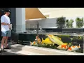 World s Best Japanese Koi Fish Collection AMAZING KOI POND DESIGN