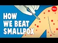 Download Lagu How we conquered the deadly smallpox virus - Simona Zompi