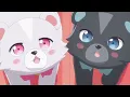 Download Lagu Kuma Kuma Kuma Bear Kumayuru and Kumakyuu Episode Highlights