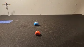 Ball Bro s 3 Blue Brick Road