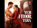 Yeh Fitoor Tera