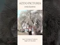 [Audio] Azito Pictures (아지토 픽쳐스) - Midnight Herz (Feat. 김꾹꾹)