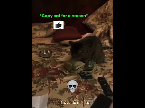 Cats Copy Everything 💀
