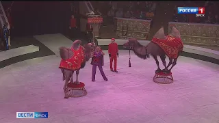 Новое грандиозное шоу стартовало на манеже Омского цирка