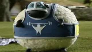 top 70 shaun the sheep