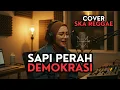 Download Lagu Sapi Perah Demokrasi - Pari Kesit Rap Hijab Cover Ska Reggae