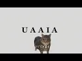 Download Lagu U I A Cat x yung kai - blue