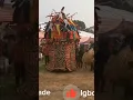 Download Lagu Captivating Ijele Masquerade Display at Enugu State Igbo Burial in Ozalla Nkanu #ijele
