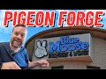 Blue Moose Burgers Wings 2025 Full Review