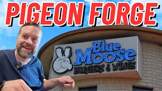 Blue Moose Burgers Wings 2025 Full Review