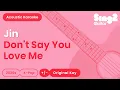 Download Lagu Jin - Don't Say You Love Me (Acoustic Karaoke)