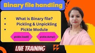 Binary File in Python Pickle Module load dump function cbse class 12 file handling