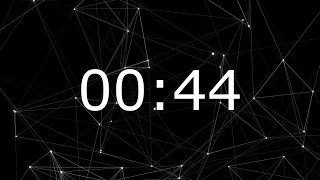 44 SECOND TIMER ALARM